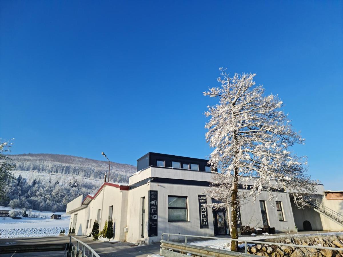 Roof Apartment Art-Pe Trebnje Exteriér fotografie